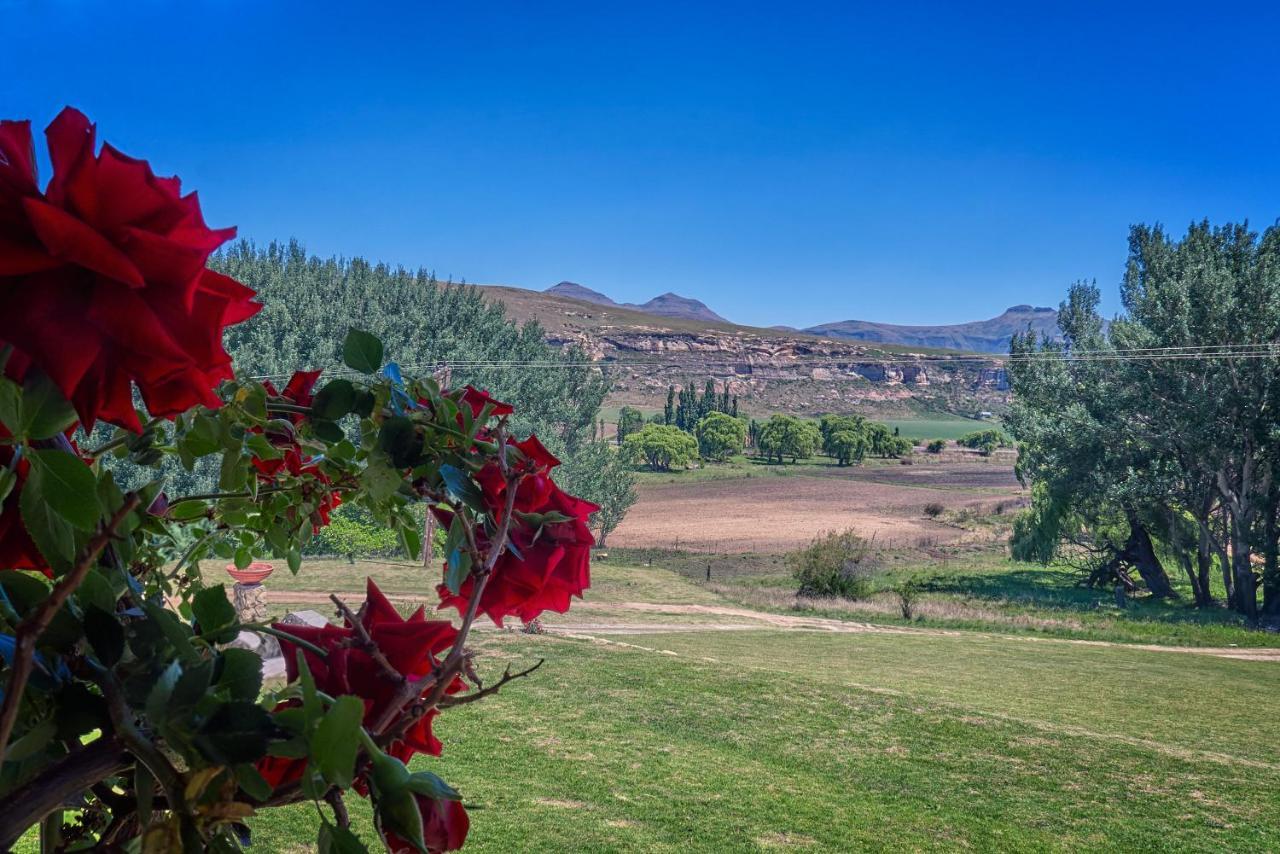 Affittacamere Linwood Guest Farm Clarens Esterno foto